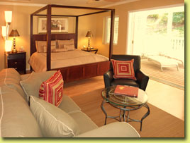 Luxury Appointed Room in the main house
