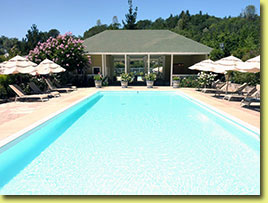 Meadowlark's Stately Pool