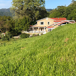 View of the Main House across the Upper Meadow