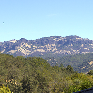 View of the Calistoga Palisades from Meadowlark