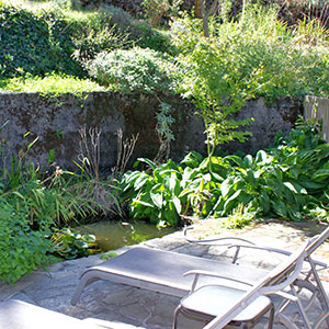 Terraced patio outside the Pond Room